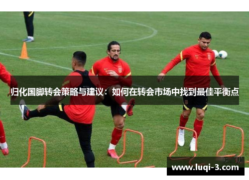 归化国脚转会策略与建议：如何在转会市场中找到最佳平衡点